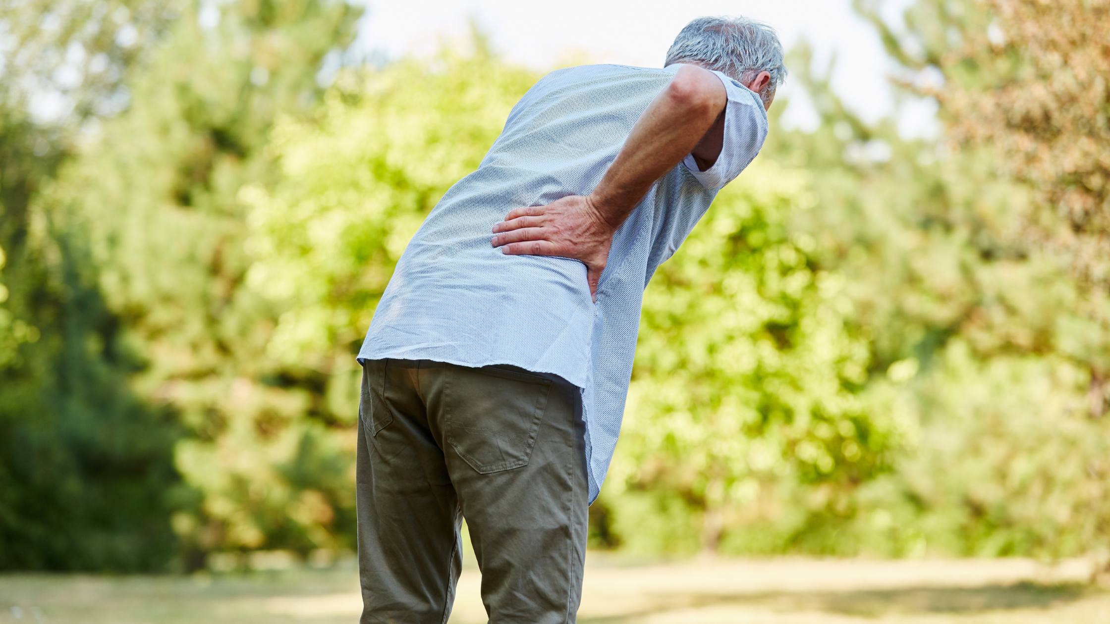 aging affects spine pain